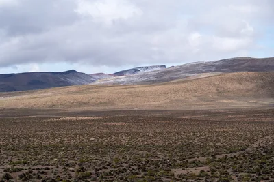 20220226_chile-lauca-las_vicunas0050.webp