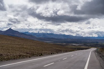 20220226_chile-lauca-las_vicunas0052.webp
