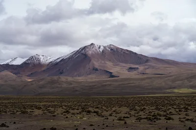 20220226_chile-lauca-las_vicunas0054.webp