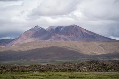 20220226_chile-lauca-las_vicunas0070.webp