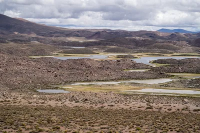 20220226_chile-lauca-las_vicunas0098.webp