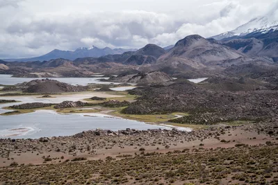 20220226_chile-lauca-las_vicunas0106.webp