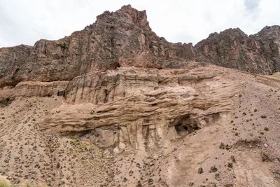 20220226_chile-lauca-las_vicunas0152.webp