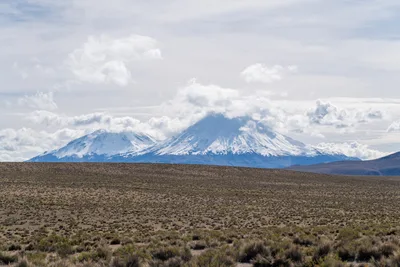20220227_chile-lauca-las_vicunas0174.webp
