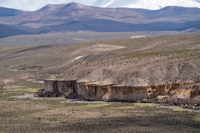 20220227_chile-lauca-las_vicunas0186.webp