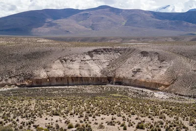 20220227_chile-lauca-las_vicunas0187.webp