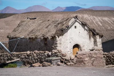 20220227_chile-lauca-las_vicunas0192.webp