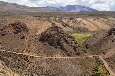 20220227_chile-lauca-las_vicunas0242.webp