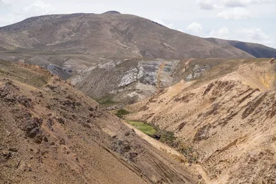 20220227_chile-lauca-las_vicunas0243.webp
