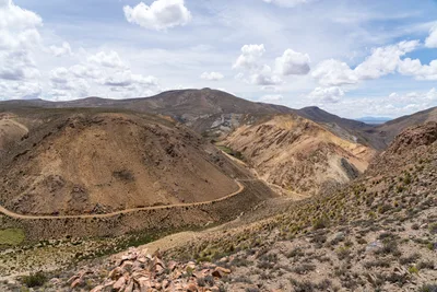 20220227_chile-lauca-las_vicunas0251.webp