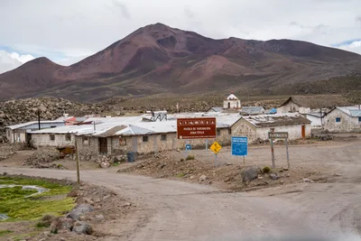 20220301_chile-lauca-las_vicunas0358.webp