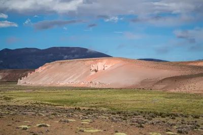 20220302_chile-lauca-las_vicunas0385.webp