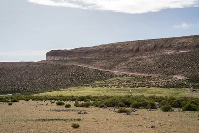 20220302_chile-lauca-las_vicunas0394.webp