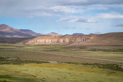 20220302_chile-lauca-las_vicunas0395.webp