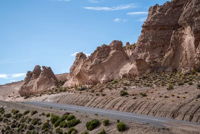 20220302_chile-lauca-las_vicunas0399.webp