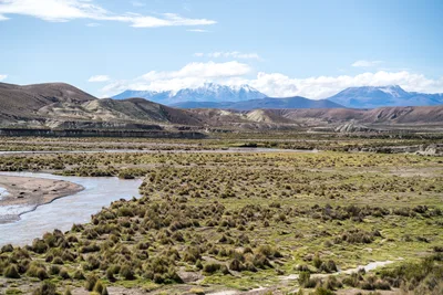 20220302_chile-lauca-las_vicunas0411.webp