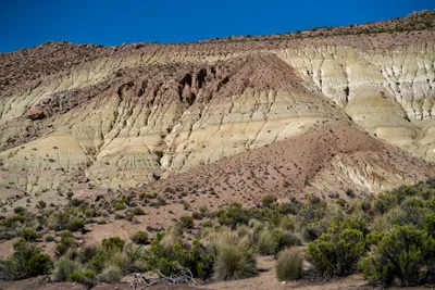 20220302_chile-lauca-las_vicunas0413.webp