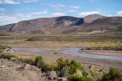 20220302_chile-lauca-las_vicunas0415.webp