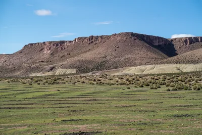 20220302_chile-lauca-las_vicunas0416.webp