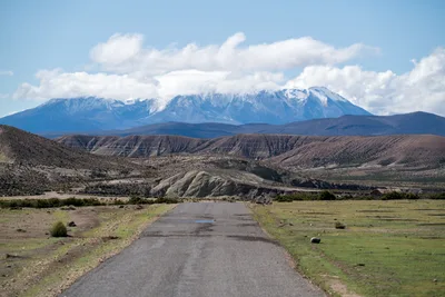 20220302_chile-lauca-las_vicunas0418.webp