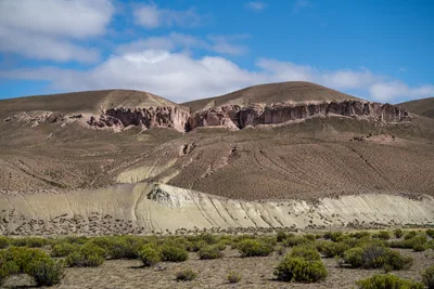 20220302_chile-lauca-las_vicunas0426.webp