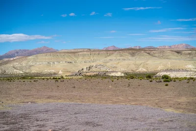 20220302_chile-lauca-las_vicunas0432.webp
