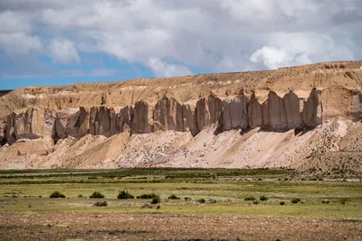 20220302_chile-lauca-las_vicunas0442.webp