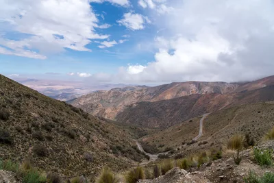 20220302_chile-lauca-las_vicunas0444.webp