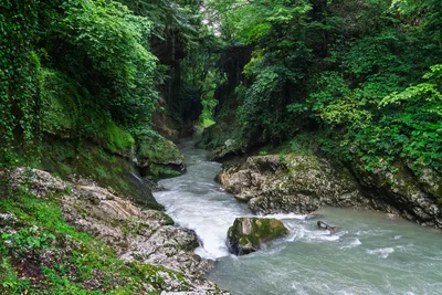 20250617_154341_gruzja_0011.webp