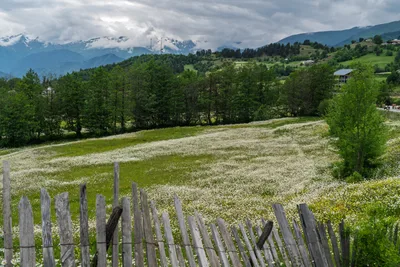 20250618_151949_gruzja_0109.webp