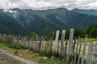 20250618_152002_gruzja_0111.webp