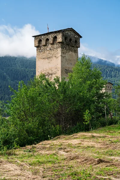 20250619_060716_gruzja_0146.webp