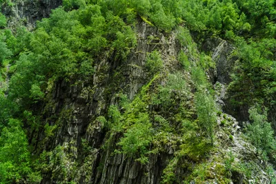 20250619_122725_gruzja_0220.webp
