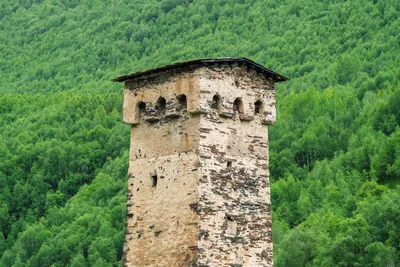 20250619_124736_gruzja_0252.webp
