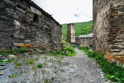 20250619_132257_gruzja_0274.webp