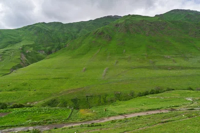 20250619_135017_gruzja_0288.webp