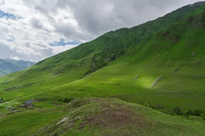 20250619_135353_gruzja_0294.webp