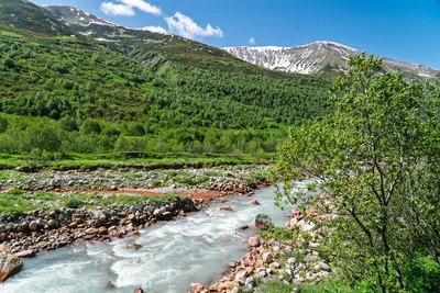 20250620_081808_gruzja_0365.webp
