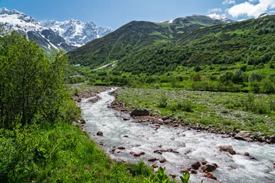 20250620_081843_gruzja_0366.webp