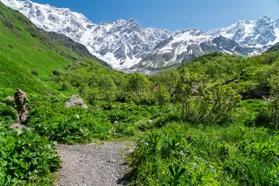 20250620_082857_gruzja_0368.webp