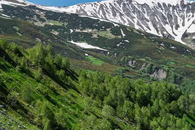 20250620_090255_gruzja_0376.webp