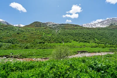 20250620_103255_gruzja_0398.webp