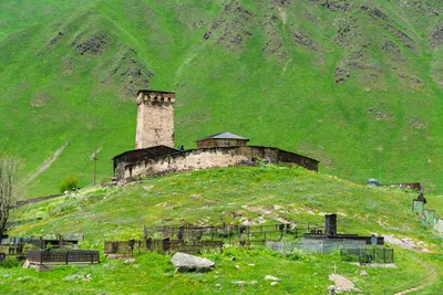 20250620_112503_gruzja_0404.webp