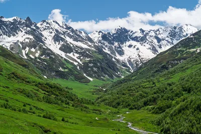 20250620_120840_gruzja_0406.webp