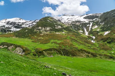 20250620_121522_gruzja_0417.webp