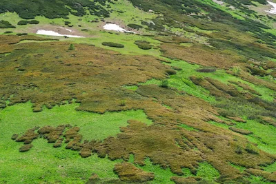 20250620_121839_gruzja_0421.webp