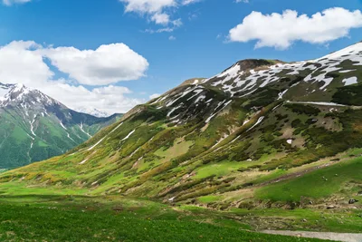 20250620_122802_gruzja_0430.webp