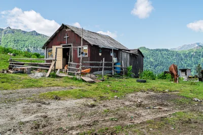 20250621_093123_gruzja_0483.webp