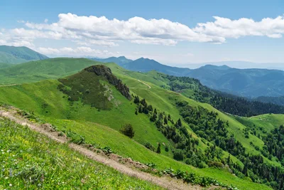 20250621_103443_gruzja_0511.webp