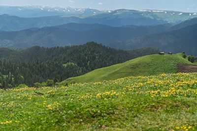 20250621_110556_gruzja_0519.webp